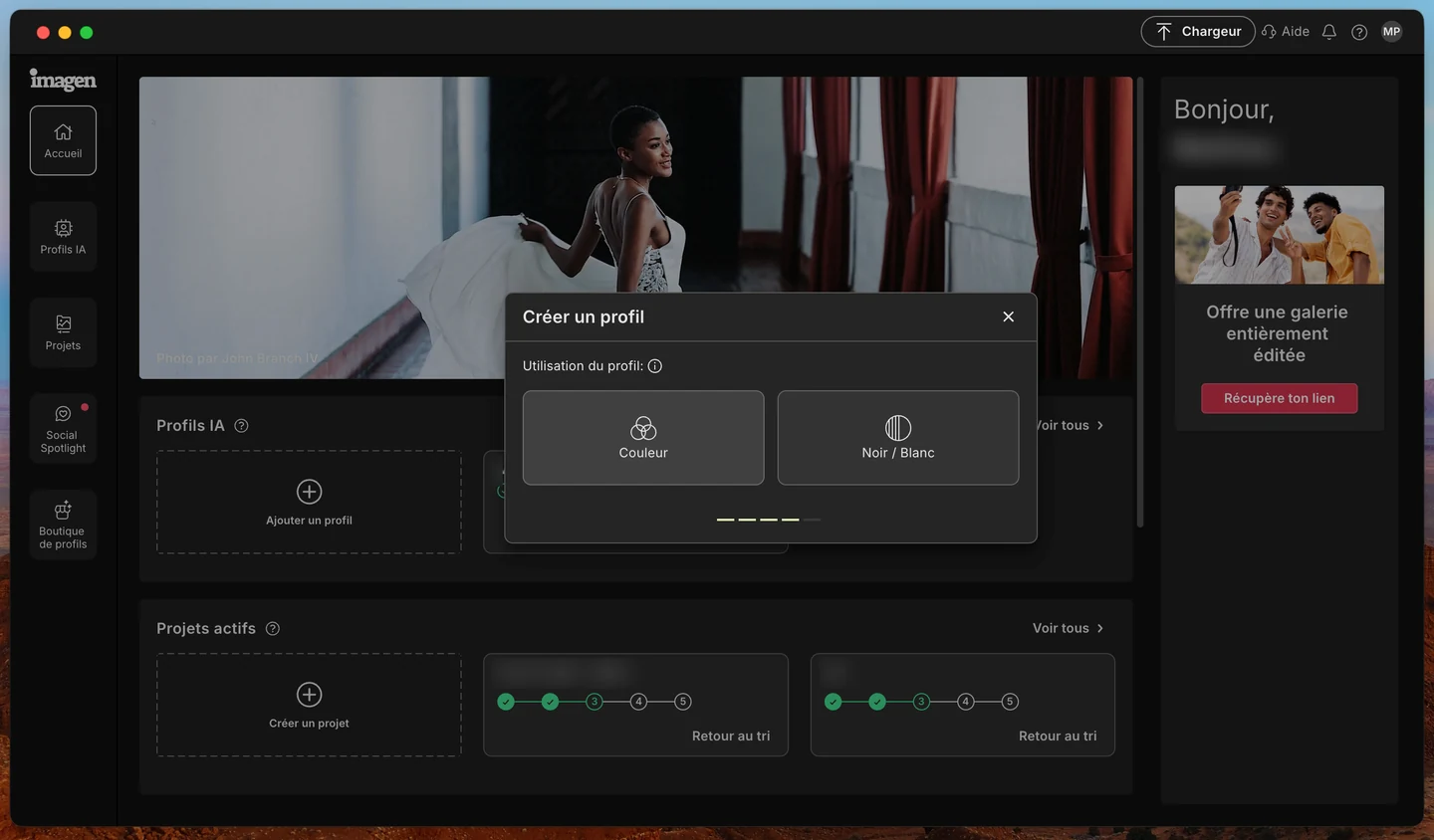 Choix entre un profil couleur et un profil noir et blanc dans Imagen AI